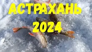 Рыбалка в Астрахани 2024/день первый