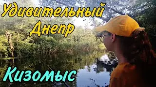 Кльовое место - обзор базы. Удивительные плавни Днепра. Кизомыс, Херсонская область, семейный отдых.