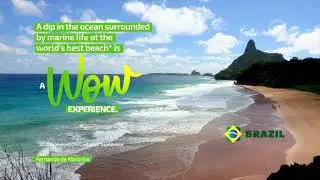 The best beaches in the world