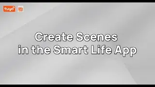 Create Scenes in the Smart Life App