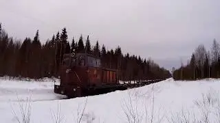 Лойгинская УЖД / Тепловоз ТУ6А-2892 с порожняком
