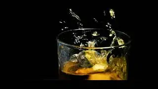 Jack on the rocks!