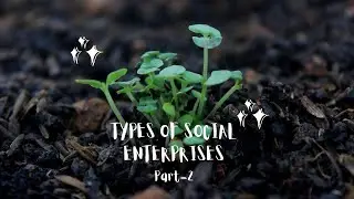 Types pf Social Enterprises - Part 2