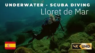 Scuba diving in Lloret de Mar, Costa Brava, Spain