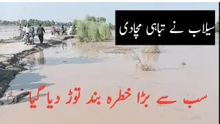 taunsa sharif flood 2022 || blochistan flood 2022 Flood Rajan pur