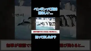 ファーストペンギンがやばすぎる... #shorts