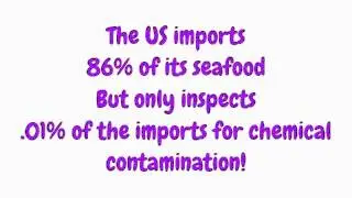 Strange Food Facts #5 - Shrimp