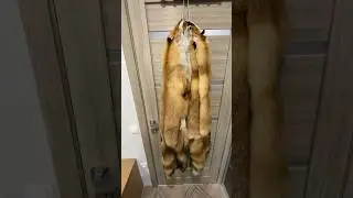 Что сшить из ЛИСИЦЫ?