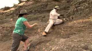 Clues to the End-Permian Extinction