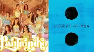 BINI, Ed Sheeran - Pantropikong Shape of You.