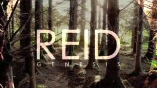 REID: DIPTERA