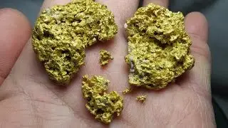 GOLD REEF Hunting