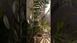 Сделай приятное другому