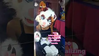 Do they make a good point? 🤔 #furries #fursuit #fursuiters #antizoo #furryyoutuber