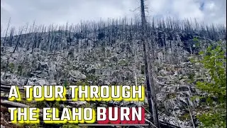The Elaho Valley-The Definition Of Scorched Earth
