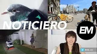 Robot de Pizzas, Super palomas y más | Noticiero En Mente