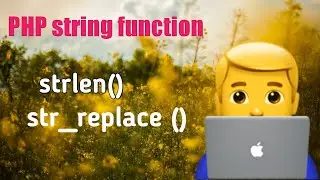 PHP strlen | str_replace
