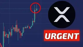 What's Next for XRP Ripple Price?! Bitcoin to $45K???