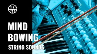 Synth String Sounds | Get the Sound | Thomann