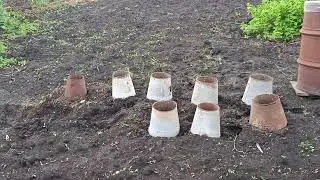 Моя жизнь на пенсии / Сына проводила / Взялась красить /