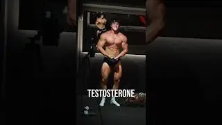 DAILY ROUTINE TO SKYROCKET TESTOSTERONE 🧬