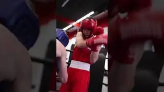 Перчатки боксерские BoyBo TITAN, кожа (одобрены ФБР)