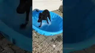 ююююююююююююю