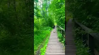 28 июня 2023 г.