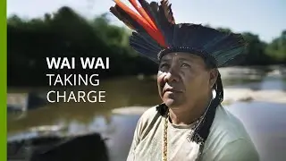 Wai Wai people's push for direct access to Brazil nut market