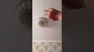 9 июня 2023 г.