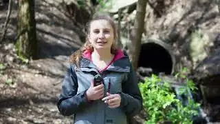 «Блокнот Таганрог» увидел, в каком состоянии малая река Большая Черепаха