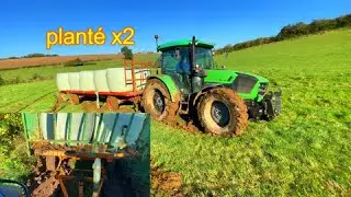 2 plateaux de plantés ( que des gallères )