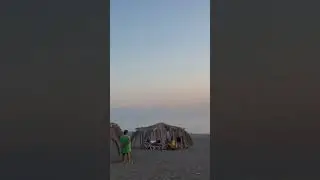 Абхазия Цитрусовый совхоз 2 октября 2023