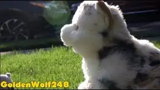 Oh Nostalgia MEP part 6