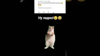 😜🤣🤣 #ютуб #cat #актив #мемасики ♥️🎉