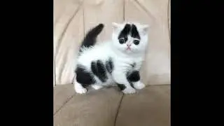 Karanlık Çökünce Sokağımıza (Unutamazsın)