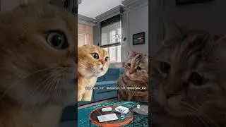 Ты что, поела и просто уходишь? 
