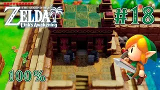Ликово святилище - The Legend of Zelda: Link's Awakening #18 [Хард | без смертей | 100%]