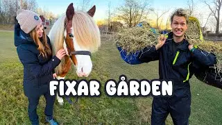 FIXAR STALLET & ALLA HÄSTAR 🐴