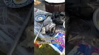 Яккабог Кашкадаре Жиеда кишлоги