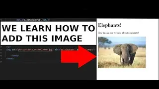 We add an Image