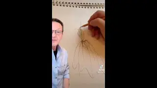 Technique For Fashion Sketching ~ This Will Help You Improve Your Fashion Designing Skill. 
