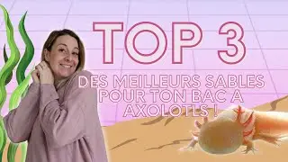 TOP#1 / TOP 3 DES MEILLEURS SABLES POUR TON BAC A AXOLOTLS !!!