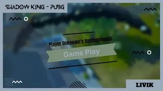 PUBG gameplay in Livik map with chicken dinner. Shadow King – PUBG.