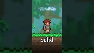 Max amount of health in Terraria?
