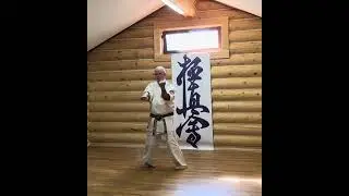 Санчин ката/ sanchin kata