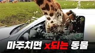 ㄷㄷㄷㄷㄷ