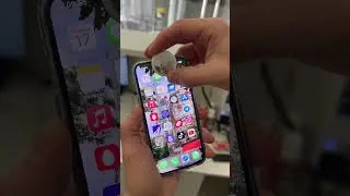 #apple