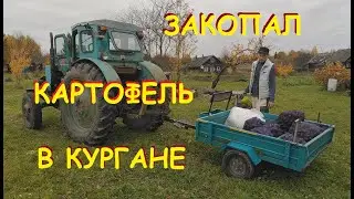 Отвез  картофель на Т-40 и закопал на хранение в кургане , где по приданию зарыты сокровища поляков