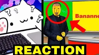 Schockierende Nachrichten?! 😨 - Kevin Reagiert